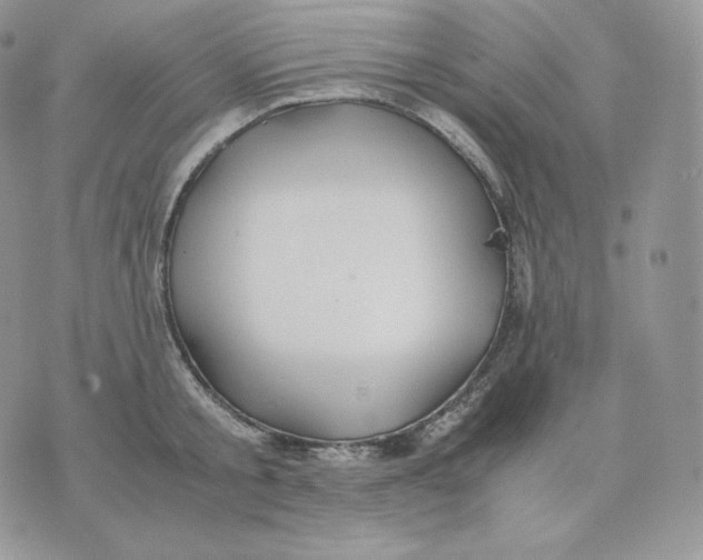 X0000075410805200609291705