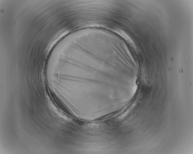 X0000075410806200609291705