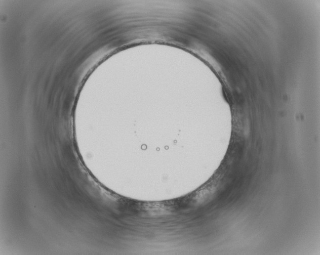 X0000075410807200609291705