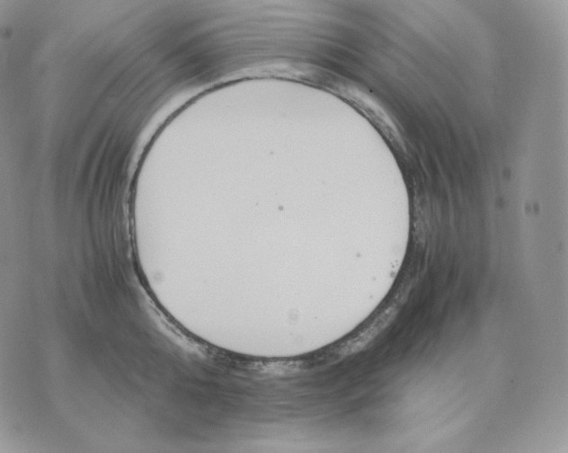 X0000075410808200609291705