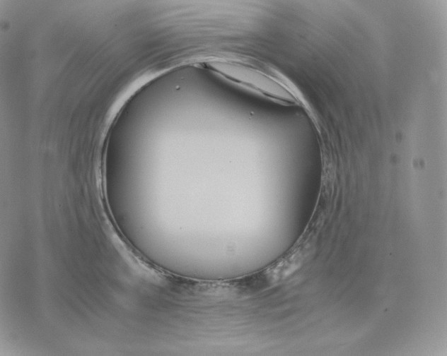 X0000075410811200609291704