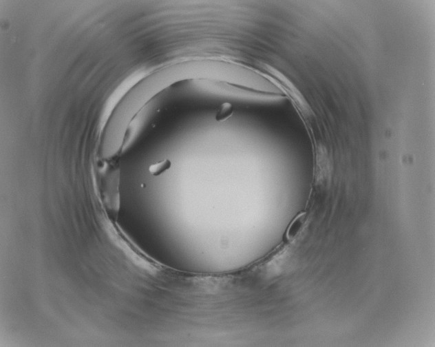 X0000075410812200609291704