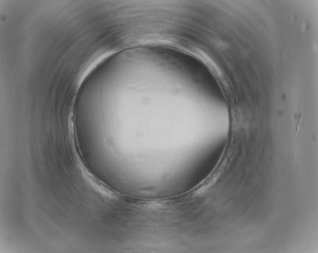 X0000075410814200609291704