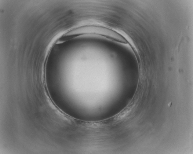 X0000075410815200609291704