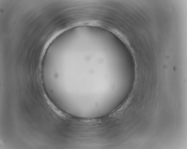 X0000075410816200609291704