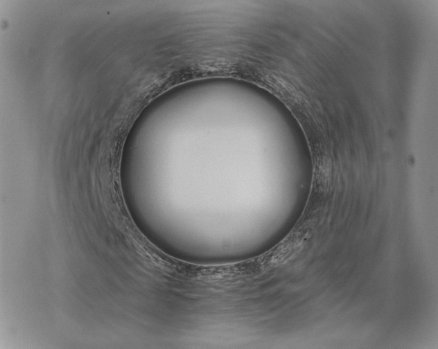 X0000075410817200609291704