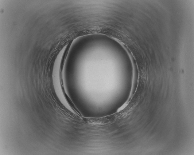 X0000075410818200609291704