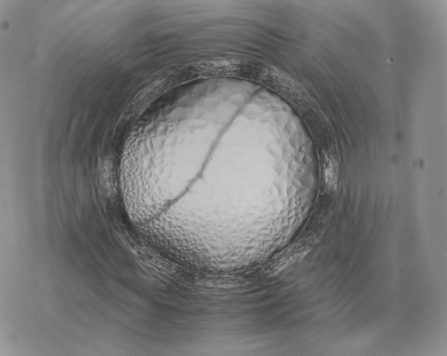 X0000075410819200609291704