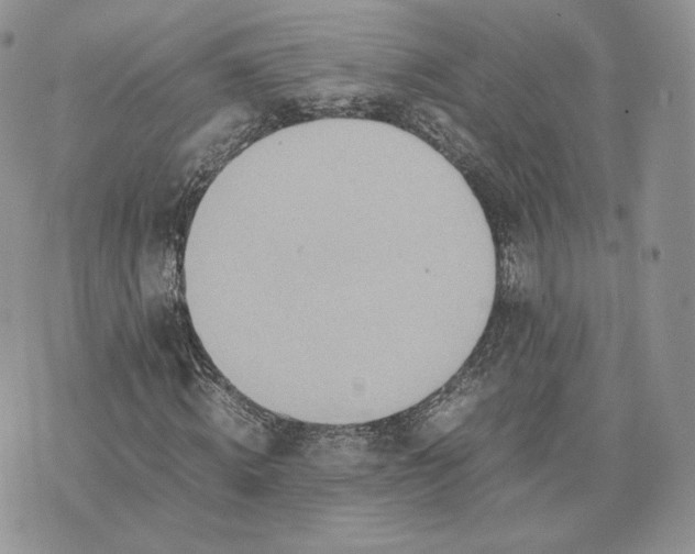 X0000075410820200609291704