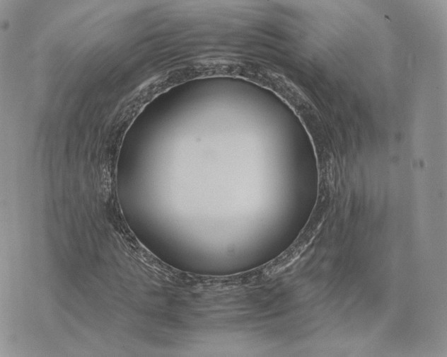 X0000075410821200609291704