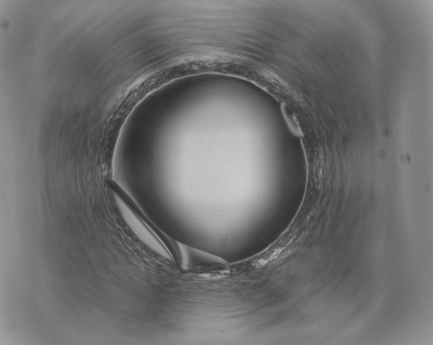 X0000075410822200609291704