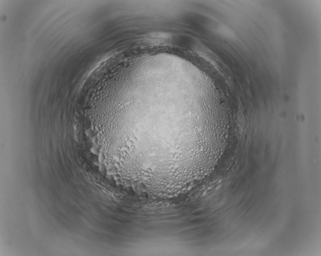 X0000075410823200609291704