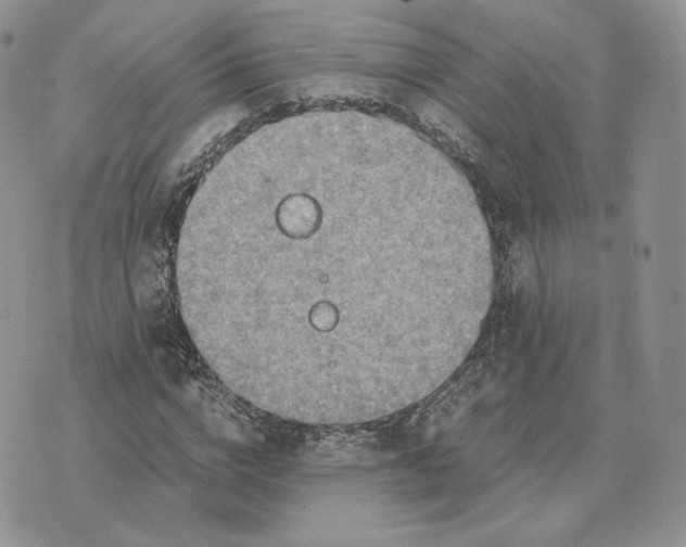 X0000075410824200609291704