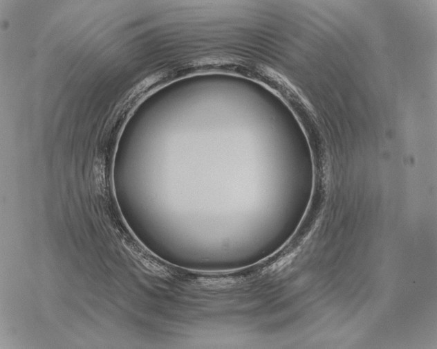 X0000075410825200609291704