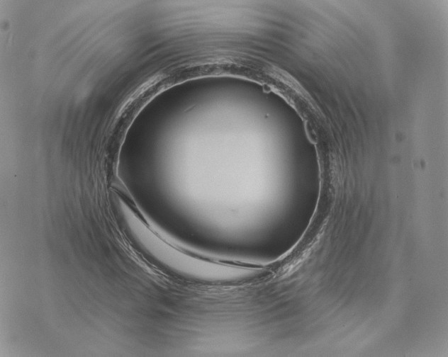 X0000075410826200609291704