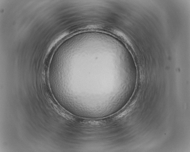 X0000075410827200609291704