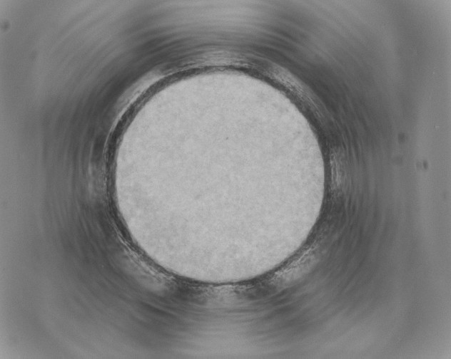 X0000075410828200609291704