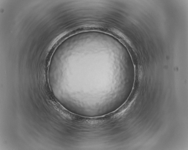 X0000075410829200609291704