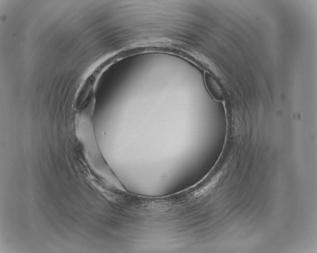 X0000075410830200609291704