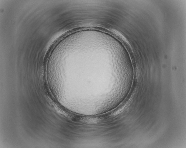 X0000075410831200609291704