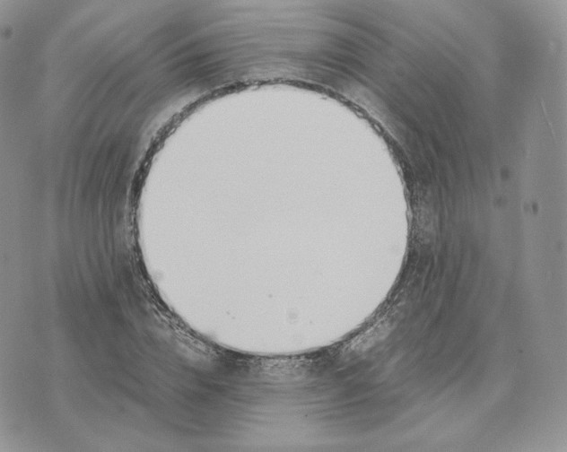 X0000075410832200609291704