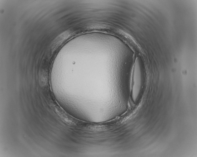 X0000075410833200609291704