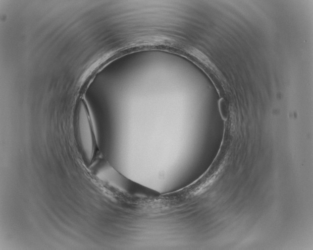 X0000075410834200609291704