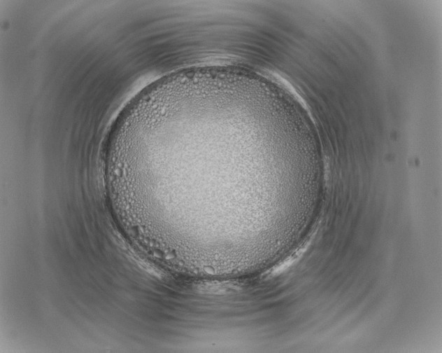 X0000075410835200609291704