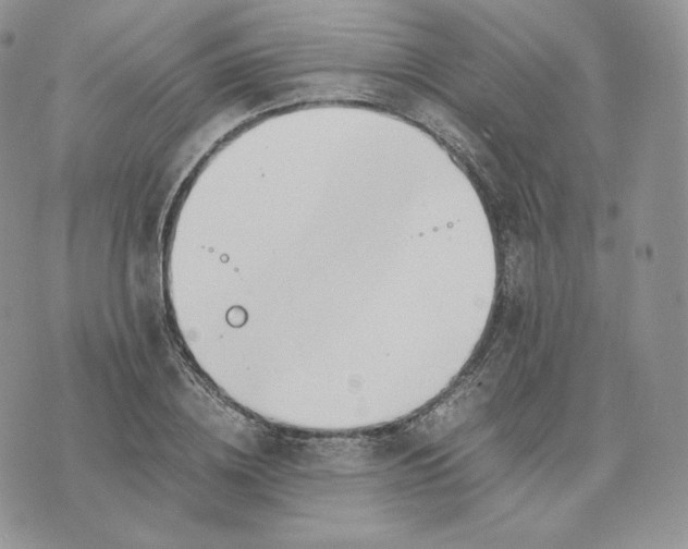 X0000075410836200609291704