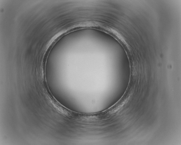 X0000075410837200609291704