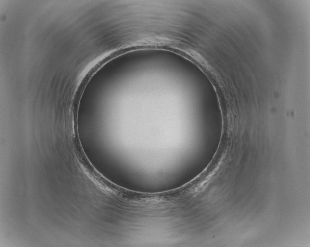 X0000075410838200609291704