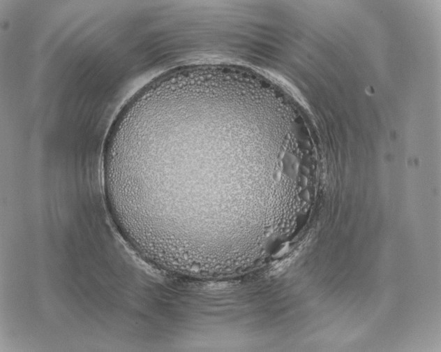 X0000075410839200609291704