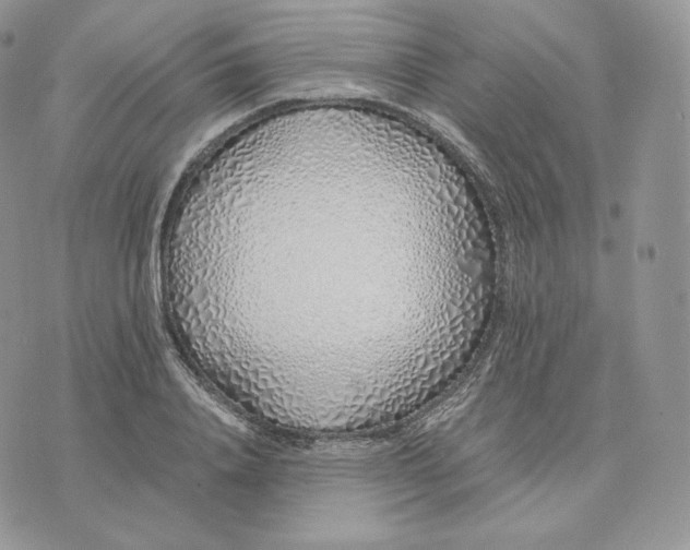 X0000075410840200609291704