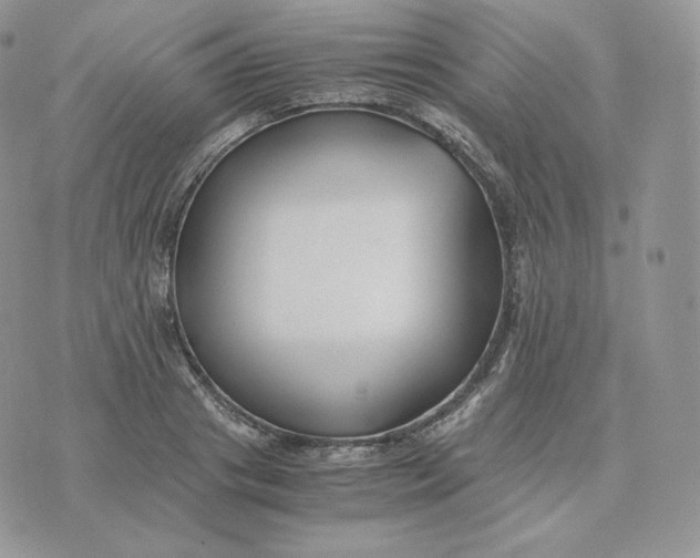 X0000075410841200609291704