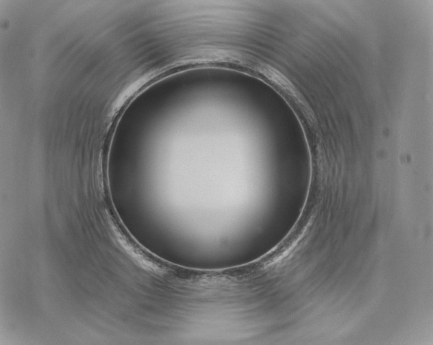 X0000075410842200609291704