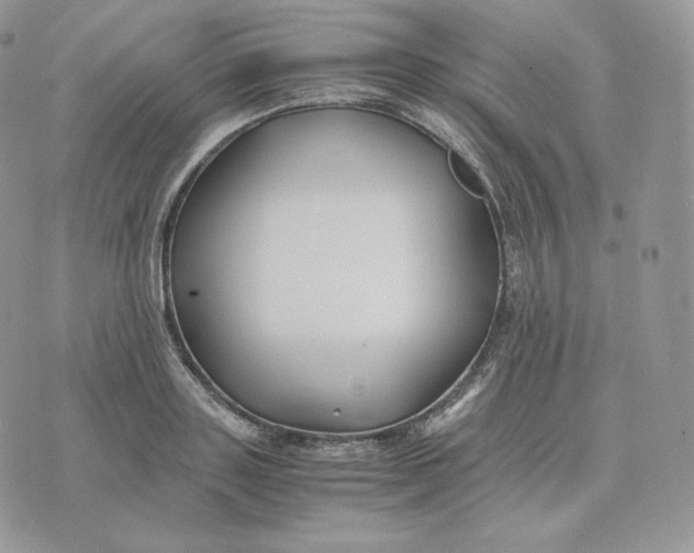 X0000075410843200609291704