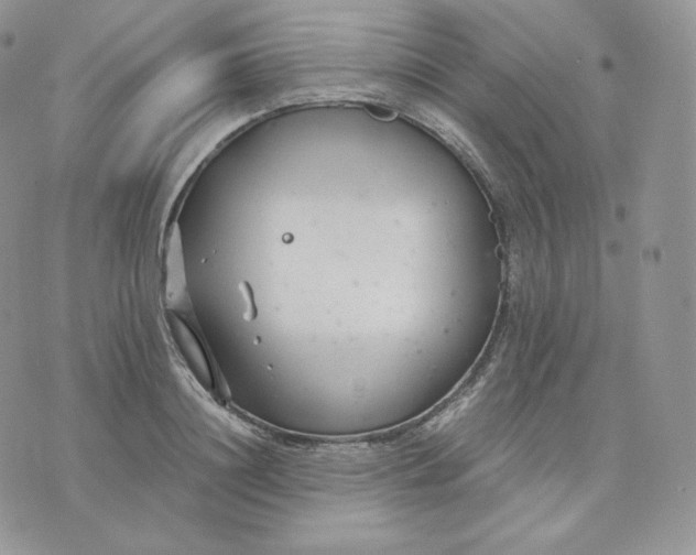 X0000075410844200609291704