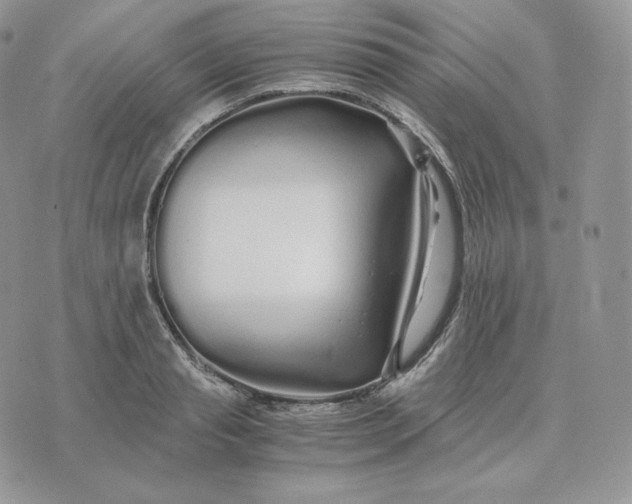 X0000075410845200609291704