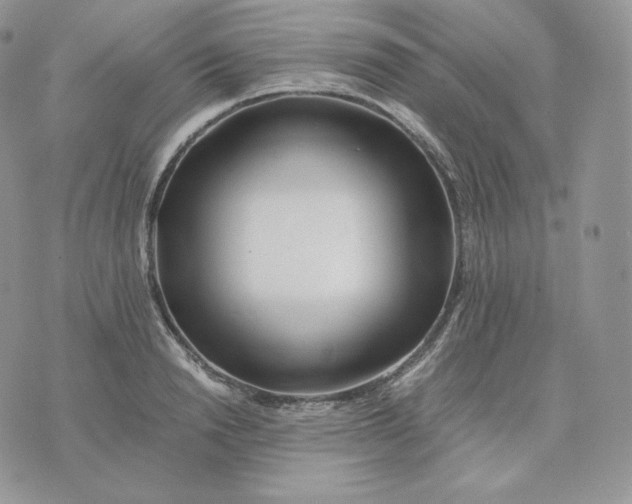 X0000075410846200609291704