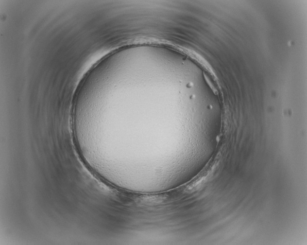 X0000075410847200609291704