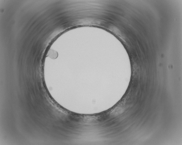 X0000075410848200609291704