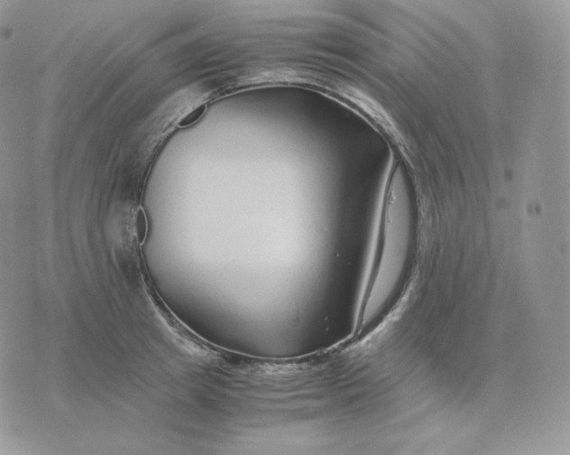 X0000075410849200609291704