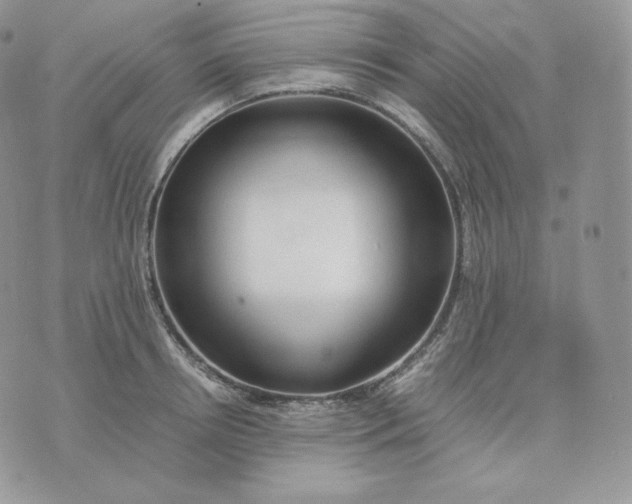 X0000075410850200609291704