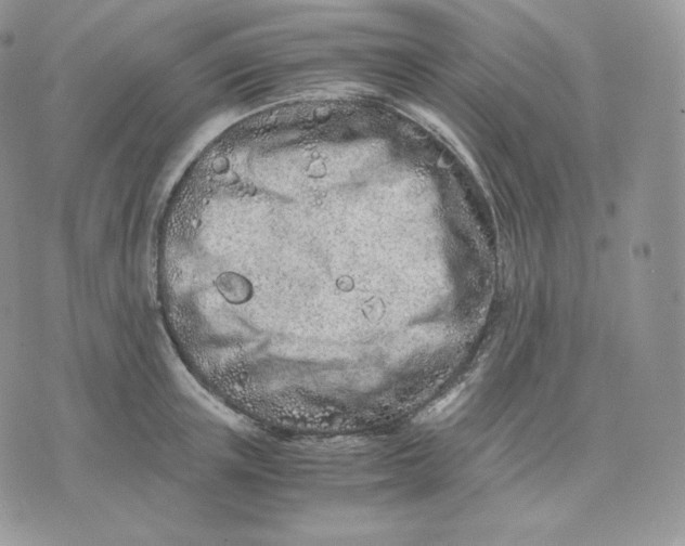 X0000075410851200609291704