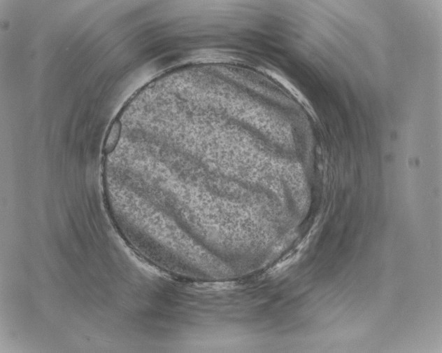 X0000075410853200609291704