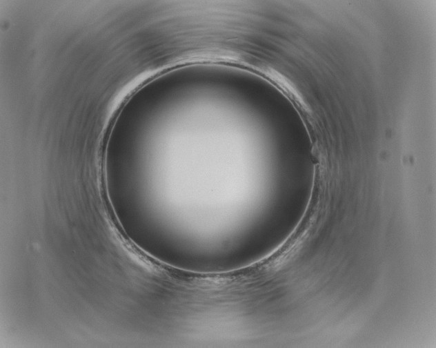 X0000075410854200609291704