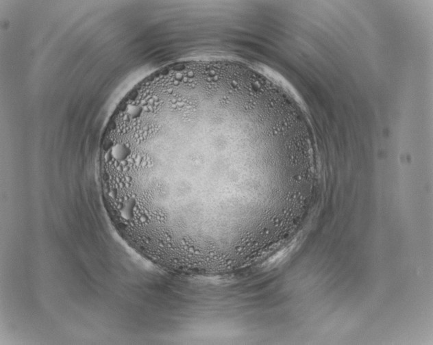 X0000075410855200609291704