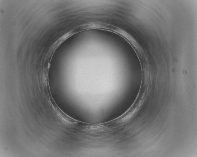 X0000075410857200609291704