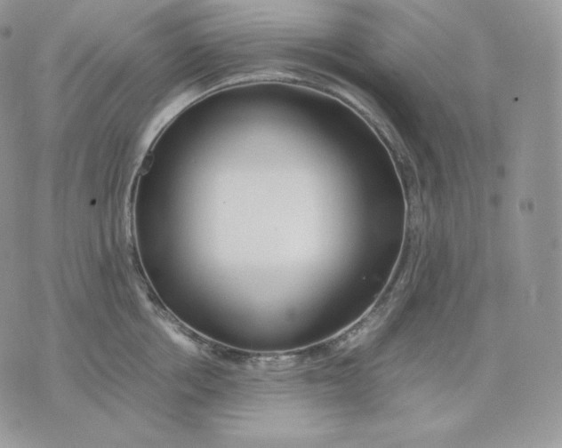 X0000075410858200609291704