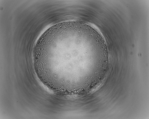 X0000075410859200609291704